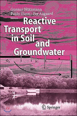 Reactive Transport in Soil and Groundwater: Processes and Models