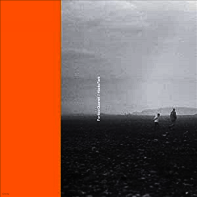 Portico Quartet & Hania Rani — Portico Quartet / Hania Rani (12" Single) 앨범 커버