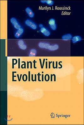 Plant Virus Evolution