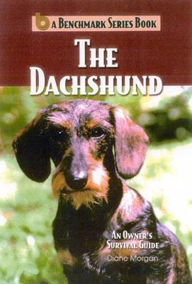 The Dachshund: An Owner's Survival Guide