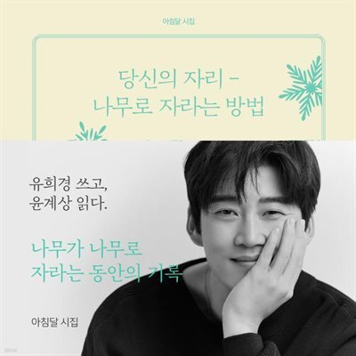 당신의 자리 - 나무로 자라는 방법