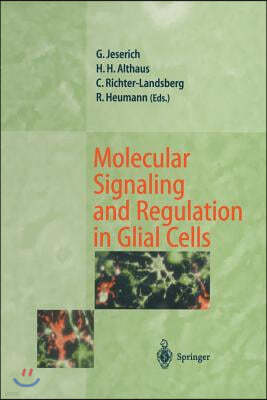 Molecular Signaling and Regulation in Glial Cells: A Key to Remyelination and Functional Repair