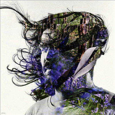 Bibio — Ribbons 앨범 커버