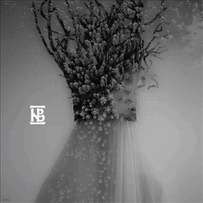 Negura Bunget — Zau (Gatefold) 앨범 커버