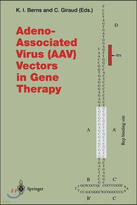 Adeno-Associated Virus (Aav) Vectors in Gene Therapy