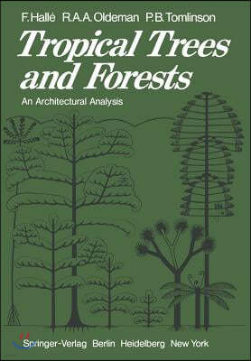 Tropical Trees and Forests: An Architectural Analysis