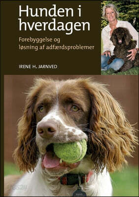 Hunden i hverdagen