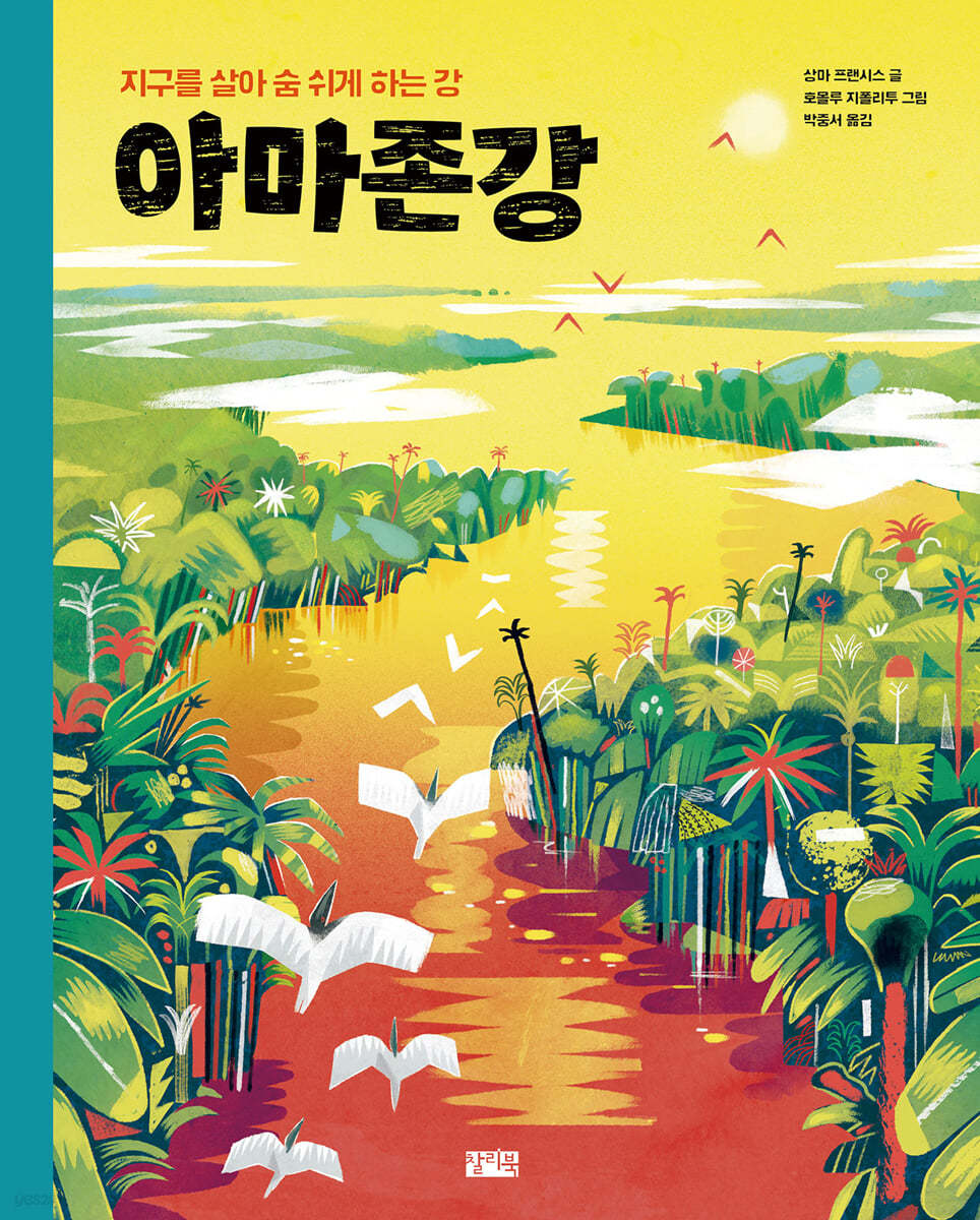 아마존강