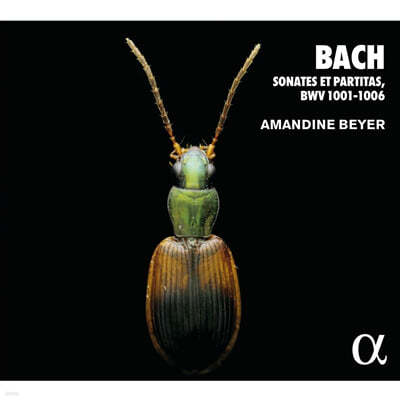 Amandine Beyer 바흐: 무반주 바이올린 소나타와 파르티타 전곡 (Bach: Sonates et Partitas, BWV1001-BWV1006) 