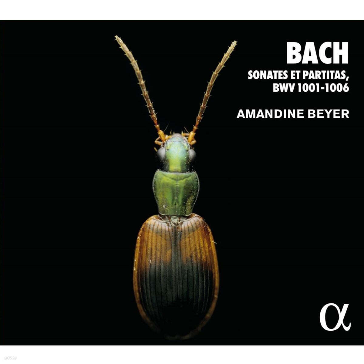 Amandine Beyer 바흐: 무반주 바이올린 소나타와 파르티타 전곡 (Bach: Sonates et Partitas, BWV1001-BWV1006)
