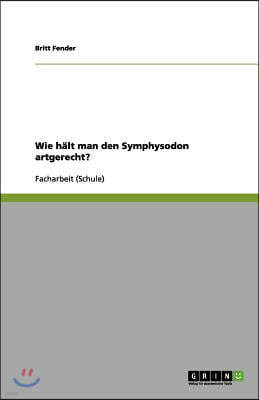 Wie halt man den Symphysodon artgerecht?