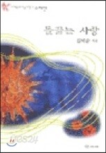 들끓는 사랑