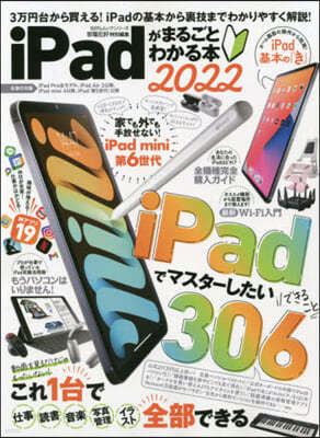 22 iPadު몴Ȫ磌