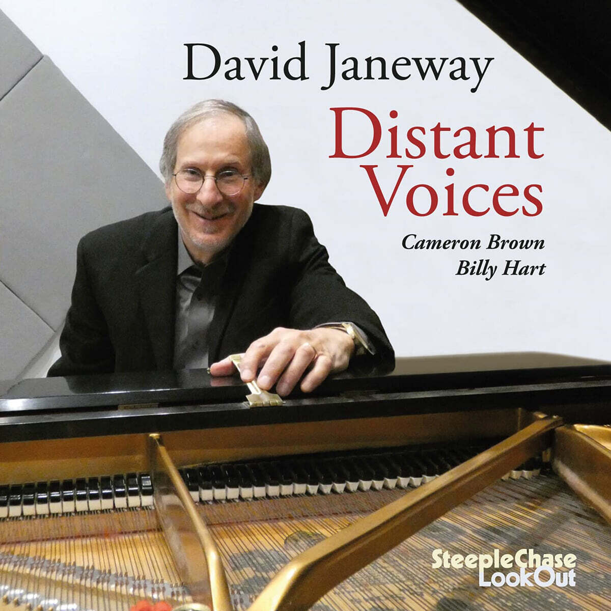 David Janeway (데이비드 제인웨이) - Distant Voices