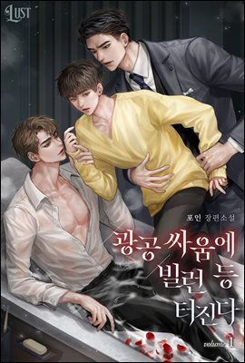 도서명 표기