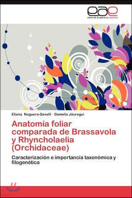 Anatomia Foliar Comparada de Brassavola y Rhyncholaelia (Orchidaceae)