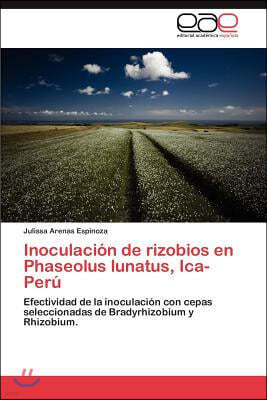 Inoculacion de Rizobios En Phaseolus Lunatus, Ica-Peru