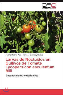 Larvas de Noctuidos En Cultivos de Tomate Lycopersicon Esculentum Mill