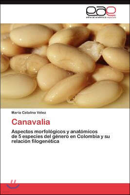 Canavalia