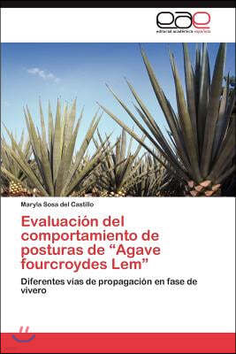 Evaluacion del Comportamiento de Posturas de Agave Fourcroydes LEM