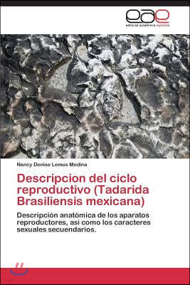 Descripcion del ciclo reproductivo (Tadarida Brasiliensis mexicana)