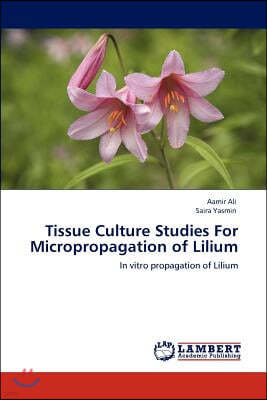 Tissue Culture Studies For Micropropagation of Lilium