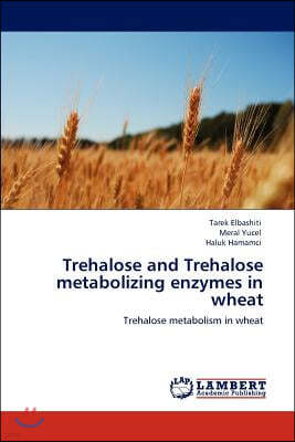 Trehalose and Trehalose metabolizing enzymes in wheat