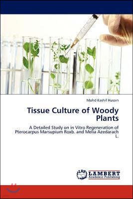 Tissue Culture of Woody Plants