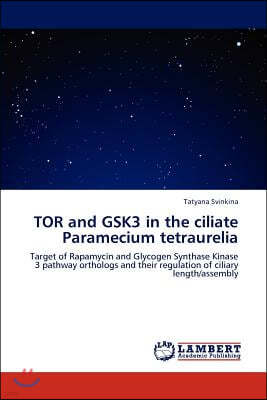 TOR and GSK3 in the ciliate Paramecium tetraurelia