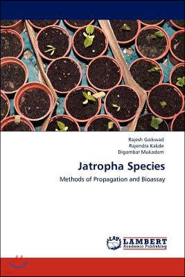 Jatropha Species