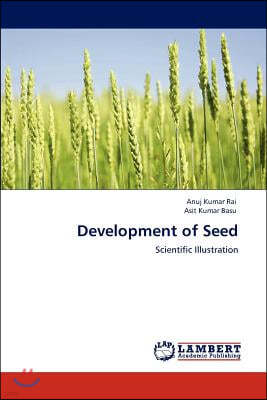 Development of Seed