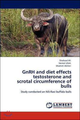 GnRH and diet effects testosterone and scrotal circumference of bulls