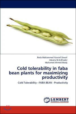 Cold tolerability in faba bean plants for maximizing productivity