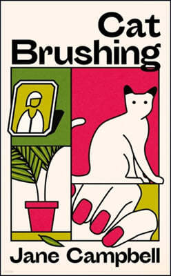 The Cat Brushing