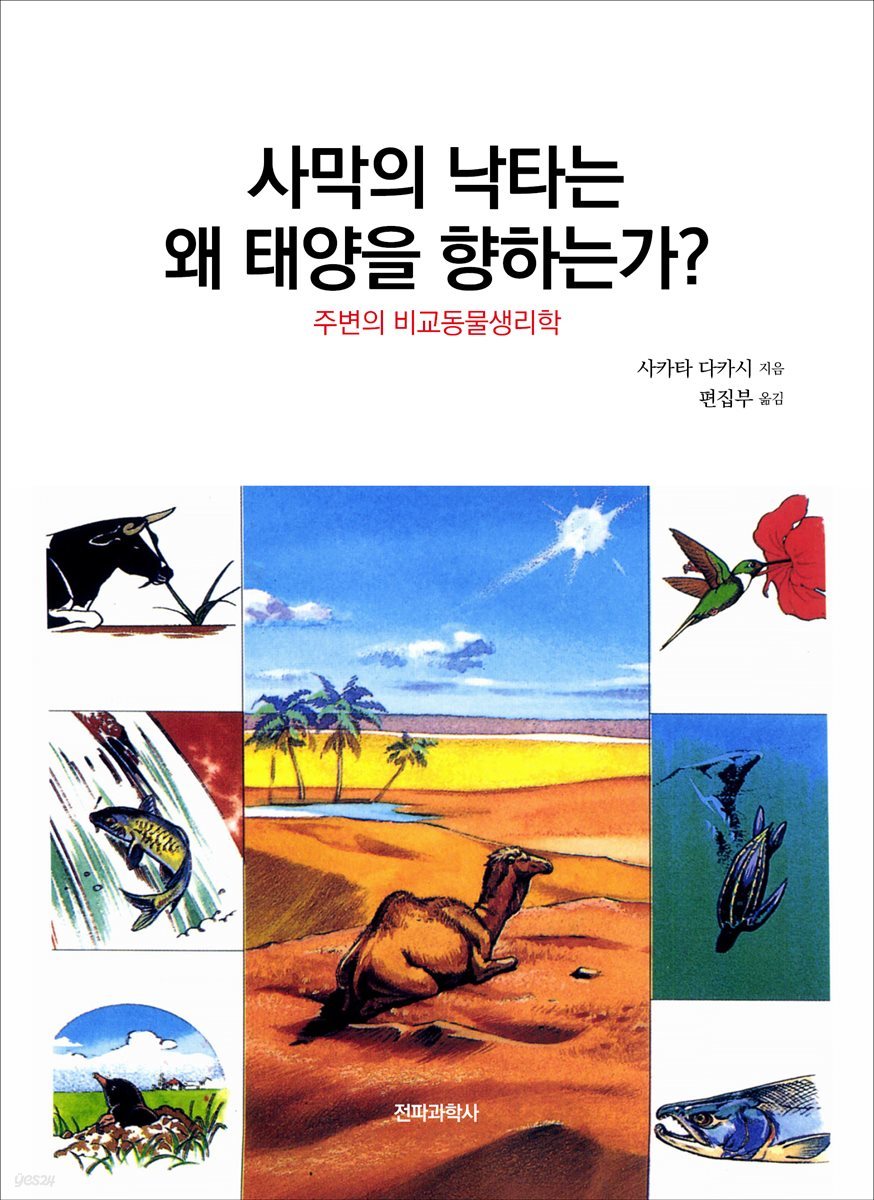 사막의 낙타는 왜 태양을 향하는가?