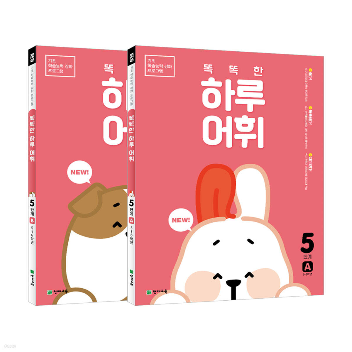 NEW 똑똑한 하루 어휘 5학년 세트 : 5단계A+B