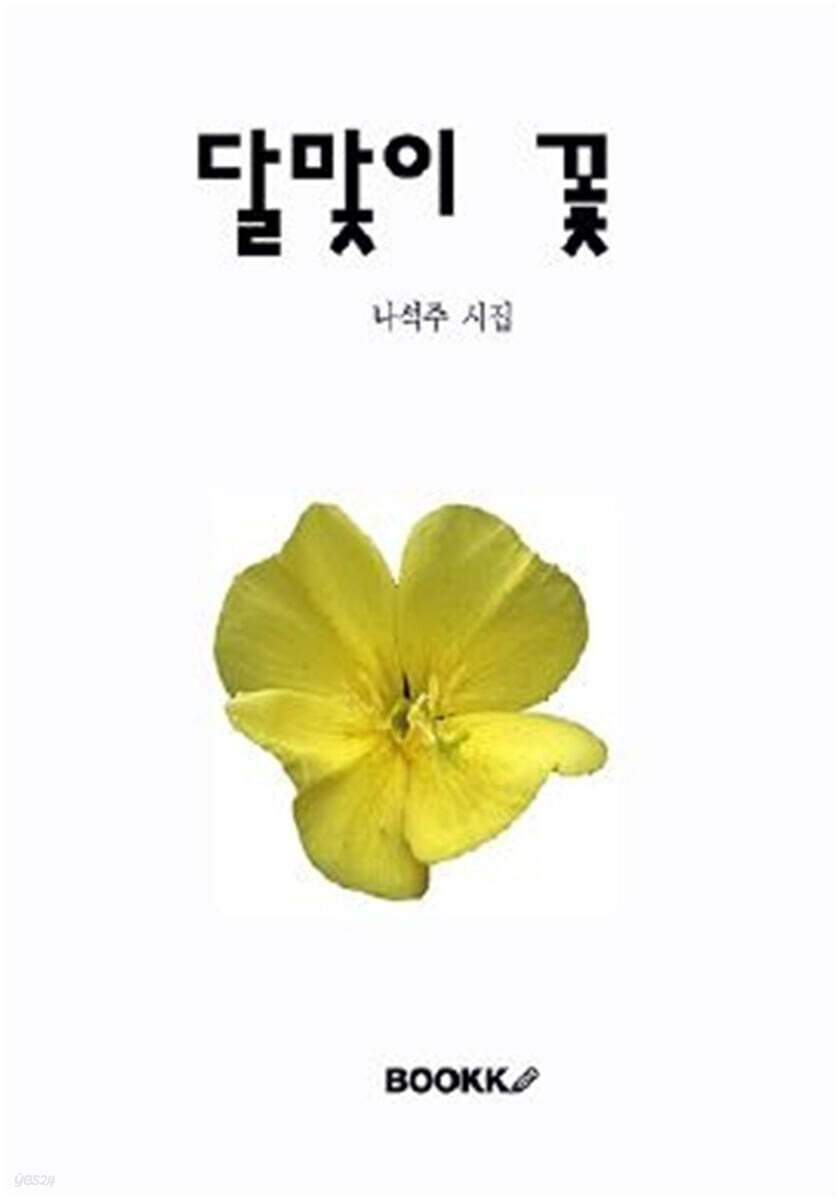 달맞이 꽃