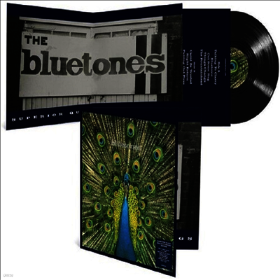 Bluetones — Expecting To Fly: 25th Anniversary 앨범 커버