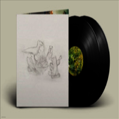 Big Thief — Dragon New Warm Mountain I Believe In You 앨범 커버
