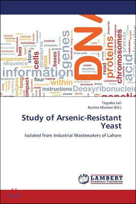 Study of Arsenic-Resistant Yeast