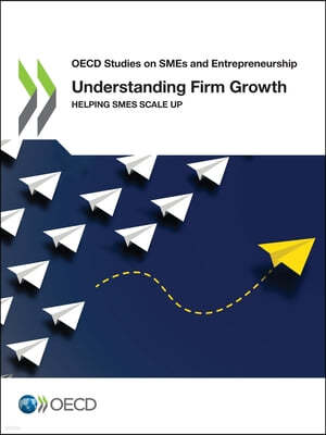 Understanding firm growth