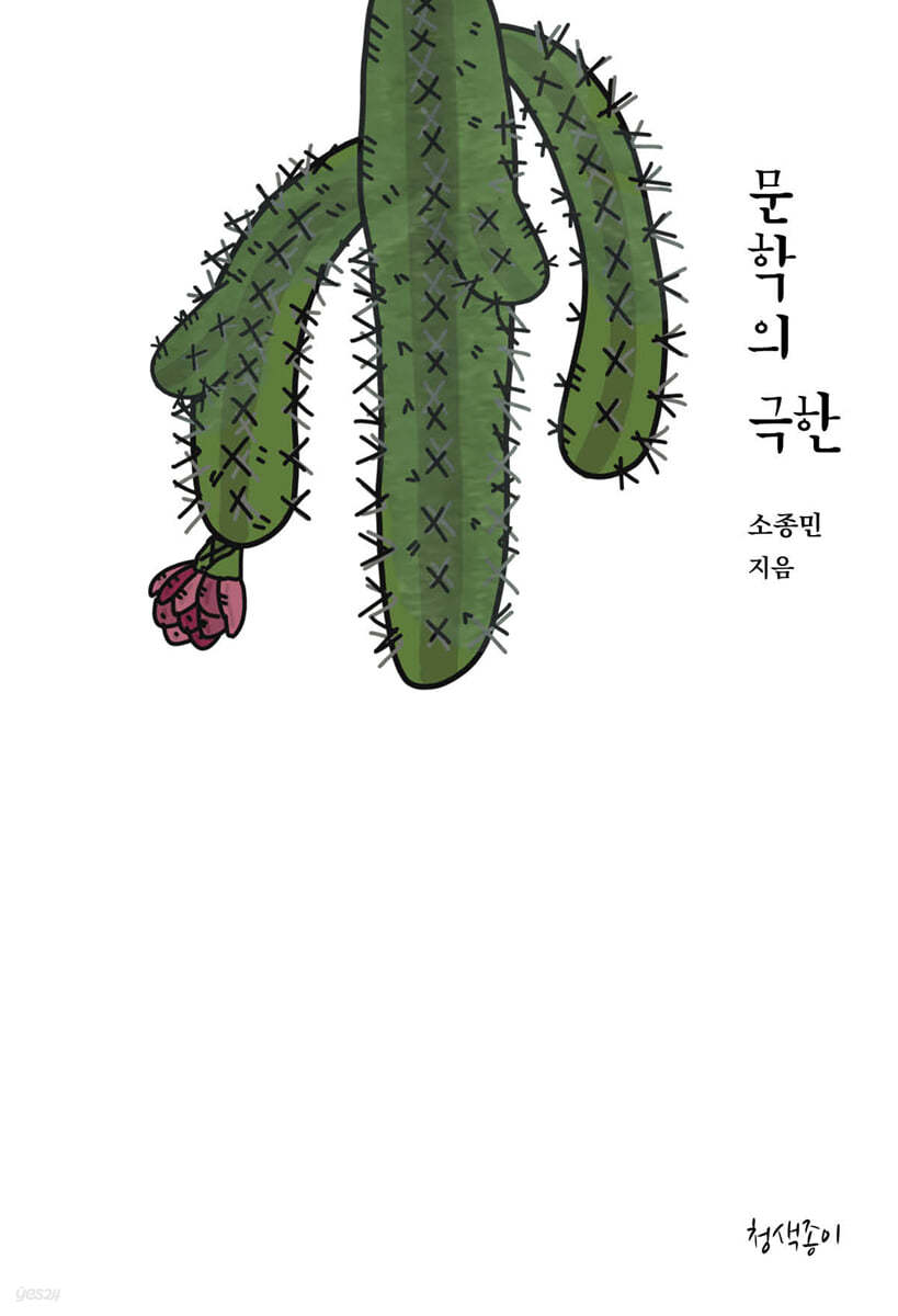 문학의 극한