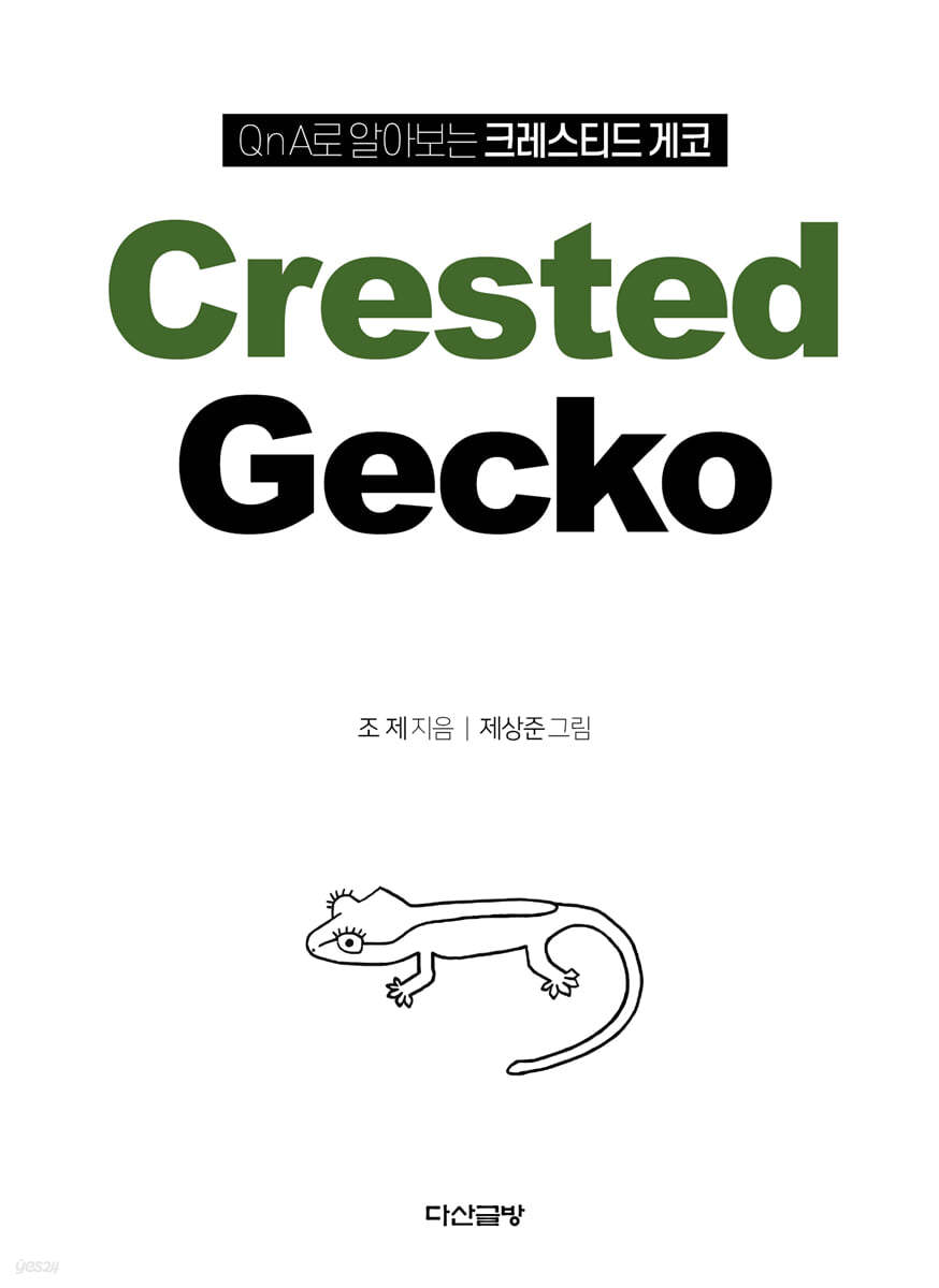 QnA로 알아보는 크레스티드 게코 Crested Gecko