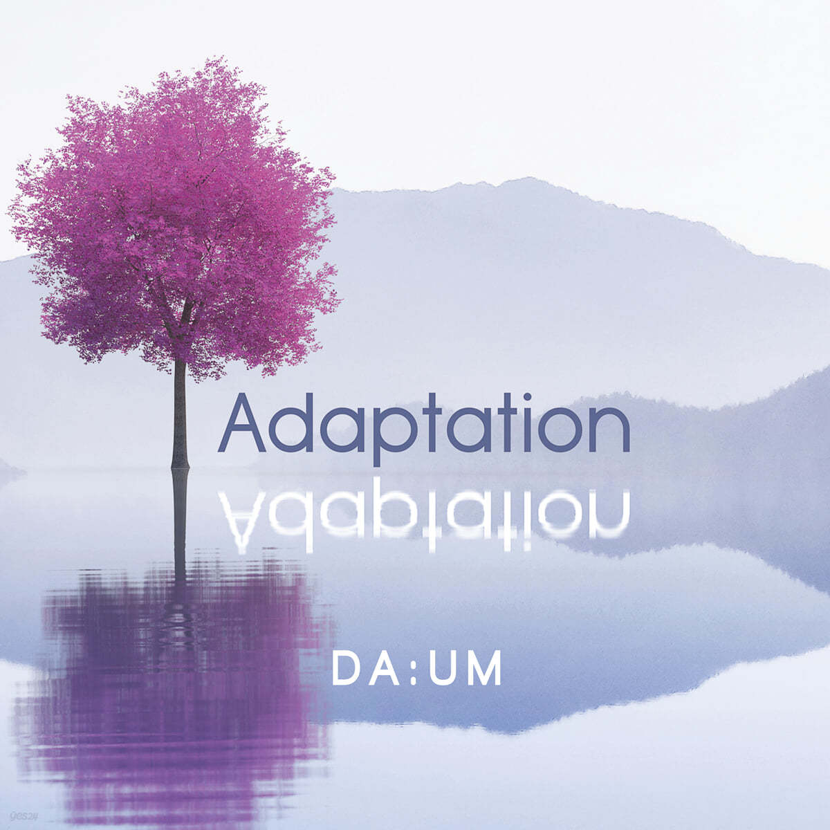 다움 (Da:um) - 2집 Adaptation 