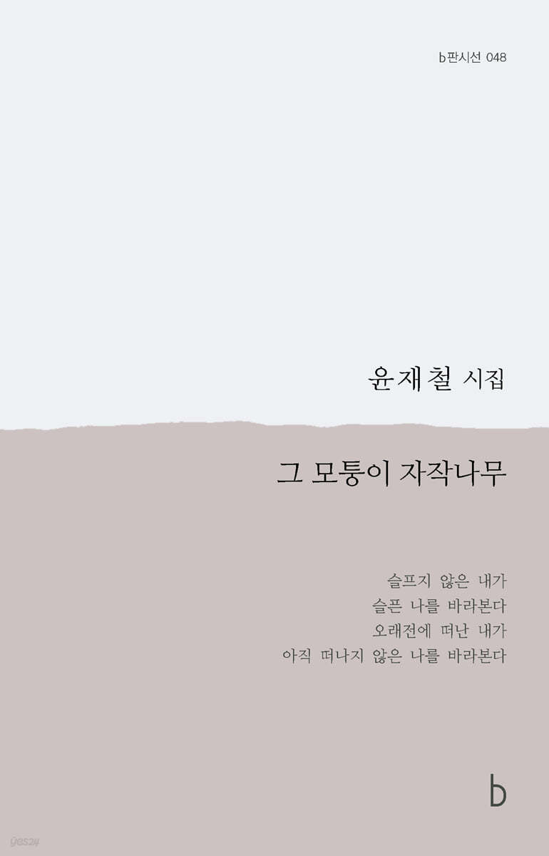 그 모퉁이 자작나무