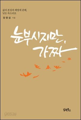 눈부시지만, 가짜