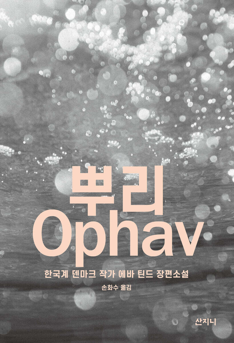 뿌리