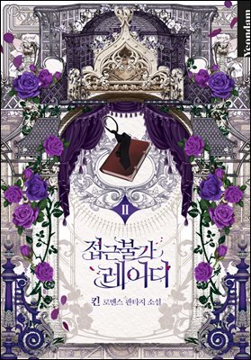 접근 불가 레이디 2권