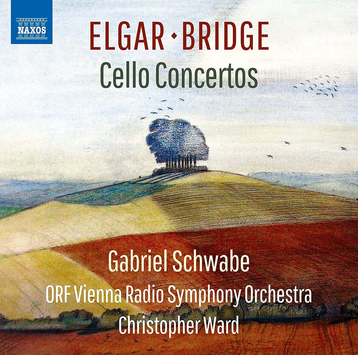 Gabriel Schwabe 엘가: 첼로 협주곡 / 브리지: 비가적 협주곡 '기도' (Elgar: Cello Concerto Op.85 / Bridge: Concerto elegiaco 'Oration')