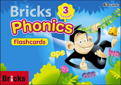 Bricks Phonics 3 Flash cards